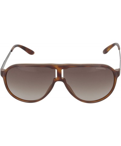 Sport NEW CHAMPION/S Pilot Sunglasses - Havana Black & Brown Gradient - CF11V7P8E5H $63.18