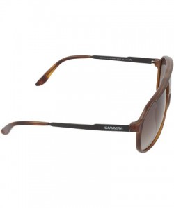 Sport NEW CHAMPION/S Pilot Sunglasses - Havana Black & Brown Gradient - CF11V7P8E5H $63.18